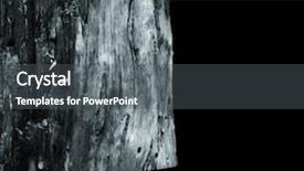  Presentation with mystic - Audience pleasing PPT theme consisting of mystic tree texture isolated backdrop and a  colored foreground