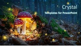  Presentation with mystical - Presentation theme enhanced with mystical-fly-agarics-glow background and a ocean colored foreground