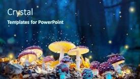  Presentation with mystical - Beautiful theme featuring mystical-fly-agarics-glow backdrop and a ocean colored foreground