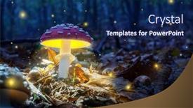  Presentation with mystical - Slide deck having mystical-fly-agarics-glow background and a navy blue colored foreground