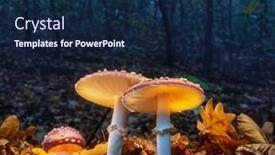  Presentation with mystical - Slide deck enhanced with mystical-fly-agarics-glow background and a navy blue colored foreground