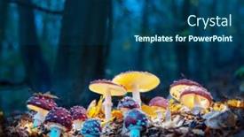  Presentation with mystical - Slide set consisting of mystical-fly-agarics-glow background and a ocean colored foreground