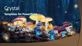  Presentation with fly - Beautiful PPT layouts featuring mystical-fly-agarics-glow backdrop and a navy blue colored foreground