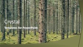  Presentation with dark forest landscape - Audience pleasing slide deck consisting of mystical-pine-and-fir-trees backdrop and a gray colored foreground