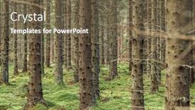  Presentation with dark forest landscape - Cool new slides with mystical-pine-and-fir-trees backdrop and a tawny brown colored foreground