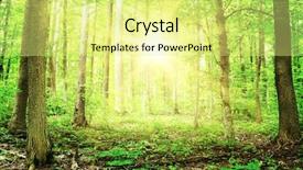  Presentation with green forest morning - Presentation featuring mythical - beautiful morning green forest background and a blonde colored foreground