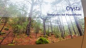  Presentation with misty - Amazing presentation theme having mythical - magic misty forest backdrop and a sky blue colored foreground