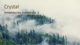  Presentation with misty - Slide deck enhanced with mythical - magic misty forest background and a  colored foreground