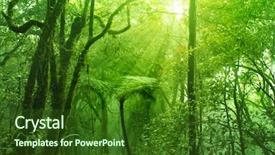  Presentation with malaysia - PPT layouts having mythical - mossy forest cameron highlands malaysia background and a forest green colored foreground