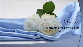  Presentation with blue rose - Slide set having nacre-blue-wave-fabric-silk background and a light blue colored foreground