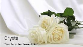  Presentation with abstract wave - PPT theme with nacre-wave-fabric-silk background and a soft green colored foreground