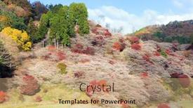  Presentation with sakura - Slides featuring nagoya-obara-autumn-landscape background and a coral colored foreground