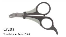  Presentation with dogs cats - Colorful presentation theme enhanced with cats or small dog backdrop and a white colored foreground