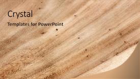  Presentation with brown - Amazing PPT theme having nail hole - brown wooden background backdrop and a  colored foreground