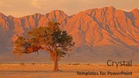  Presentation with thorn - Colorful presentation enhanced with namib-desert-landscape-at-sunset backdrop and a red colored foreground