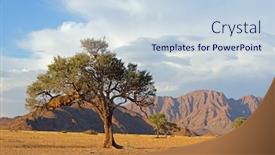  Presentation with thorn - Presentation featuring namib-desert-landscape-with-rugged background and a sky blue colored foreground