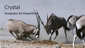  Presentation with drone fire fighting robot - Presentation design featuring namibia etosha pan gemsbok fighting background and a  colored foreground