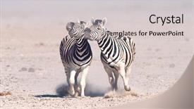  Presentation with running - Cool new slide deck with namibia etosha pan two burchell' backdrop and a light gray colored foreground