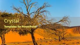  Presentation with africa tourism - Slides with namibia-south-africa-three-trees background and a tawny brown colored foreground