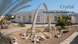  Presentation with whale - Slide set consisting of namibia-swakopmund-6-september-20022 background and a light blue colored foreground