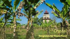  Presentation with plantation - PPT theme with nan-myint-watch-tower background and a tawny brown colored foreground