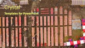  Presentation with sacrifice - Amazing PPT theme having nantou-taiwan-december-21th-2019 backdrop and a tawny brown colored foreground