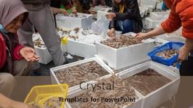  Presentation with fish people - 