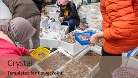  Presentation with fish people - 