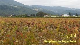  Presentation with napa - PPT theme with napa valley california in autumn wine country background and a tawny brown colored foreground