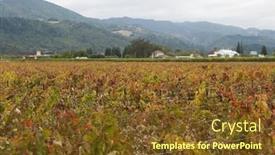  Presentation with napa - PPT theme with napa valley california in autumn wine country background and a tawny brown colored foreground