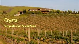  Presentation with napa - Presentation having napa valley vineyard at sunset background and a tawny brown colored foreground