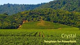  Presentation with napa - Audience pleasing presentation theme consisting of napa-valley-vineyard-in-california backdrop and a tawny brown colored foreground