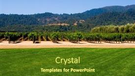  Presentation with napa - PPT layouts consisting of napa-valley-vineyard-in-california background and a tawny brown colored foreground