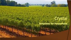  Presentation with napa - Colorful presentation theme enhanced with napa-valley-vineyard-in-california backdrop and a tawny brown colored foreground