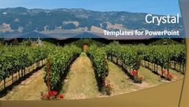  Presentation with napa - PPT layouts consisting of napa valley vineyard background and a teal colored foreground