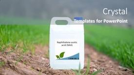  Presentation with root plant - Slide set enhanced with naphthalene-acetic-acid-naa background and a gray colored foreground