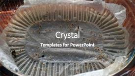  Presentation with seeds - Audience pleasing PPT theme consisting of napkin in a plastic box backdrop and a dark gray colored foreground