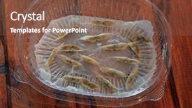  Presentation with seeds of faith - Audience pleasing presentation theme consisting of napkin in a plastic box backdrop and a tawny brown colored foreground