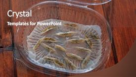  Presentation with seeds - Cool new presentation with napkin in a plastic box backdrop and a tawny brown colored foreground