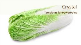  Presentation with napa - PPT theme with napza - napa cabbage on white background background and a cream colored foreground