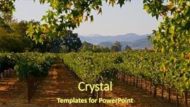  Presentation with napa - Presentation with napza - napa valley vineyard in california background and a tawny brown colored foreground