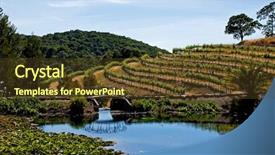  Presentation with napa - Beautiful presentation theme featuring napza - napa valley vineyard backdrop and a tawny brown colored foreground
