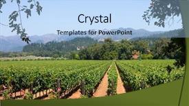  Presentation with vineyard - Colorful PPT theme enhanced with napza - vineyard in california backdrop and a light blue colored foreground