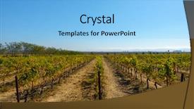  Presentation with napa - Amazing slide deck having napza - vineyard landscape at napa valley backdrop and a light blue colored foreground