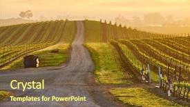  Presentation with vineyards - Amazing slides having napza - vineyards landscape at sunrise backdrop and a tawny brown colored foreground