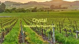  Presentation with water agriculture california - Presentation theme enhanced with napza - vineyards landscape at sunset background and a tawny brown colored foreground