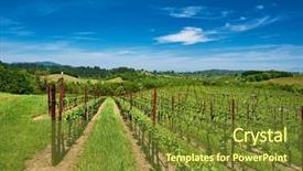  Presentation with california - Audience pleasing PPT layouts consisting of napza - vineyards landscape in california usa backdrop and a  colored foreground