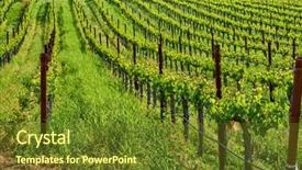  Presentation with water agriculture california - Presentation theme having napza - vineyards landscape in california usa background and a  colored foreground