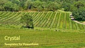  Presentation with california - PPT theme having napza - vineyards landscape in california usa background and a tawny brown colored foreground