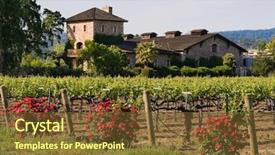  Presentation with napa - Slides enhanced with napza - winery in napa valley background and a tawny brown colored foreground